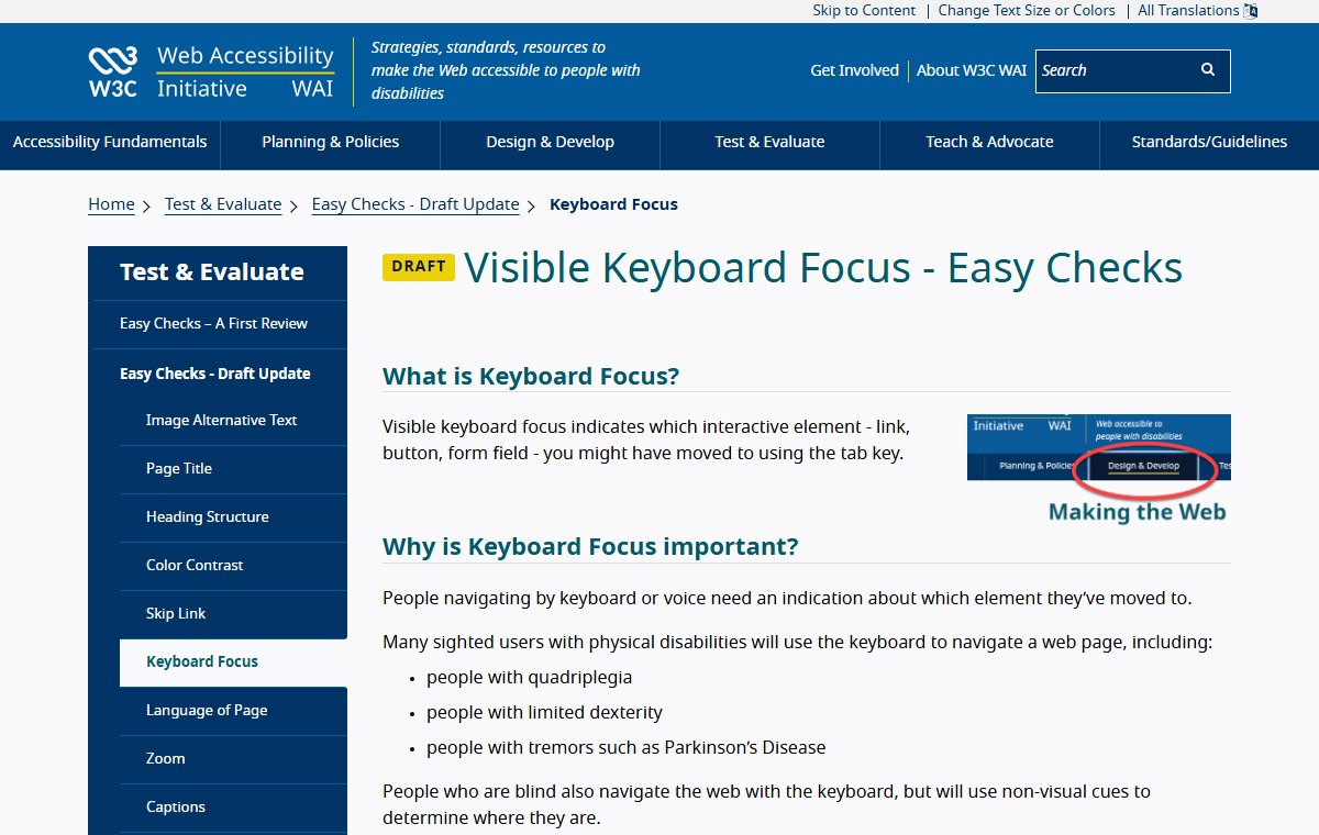 The W3C Easy Checks page about visible keyboard focus, explaining what keyboard focus is and who relies on it.